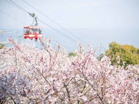 須磨観光ハウス　味と宿　花月