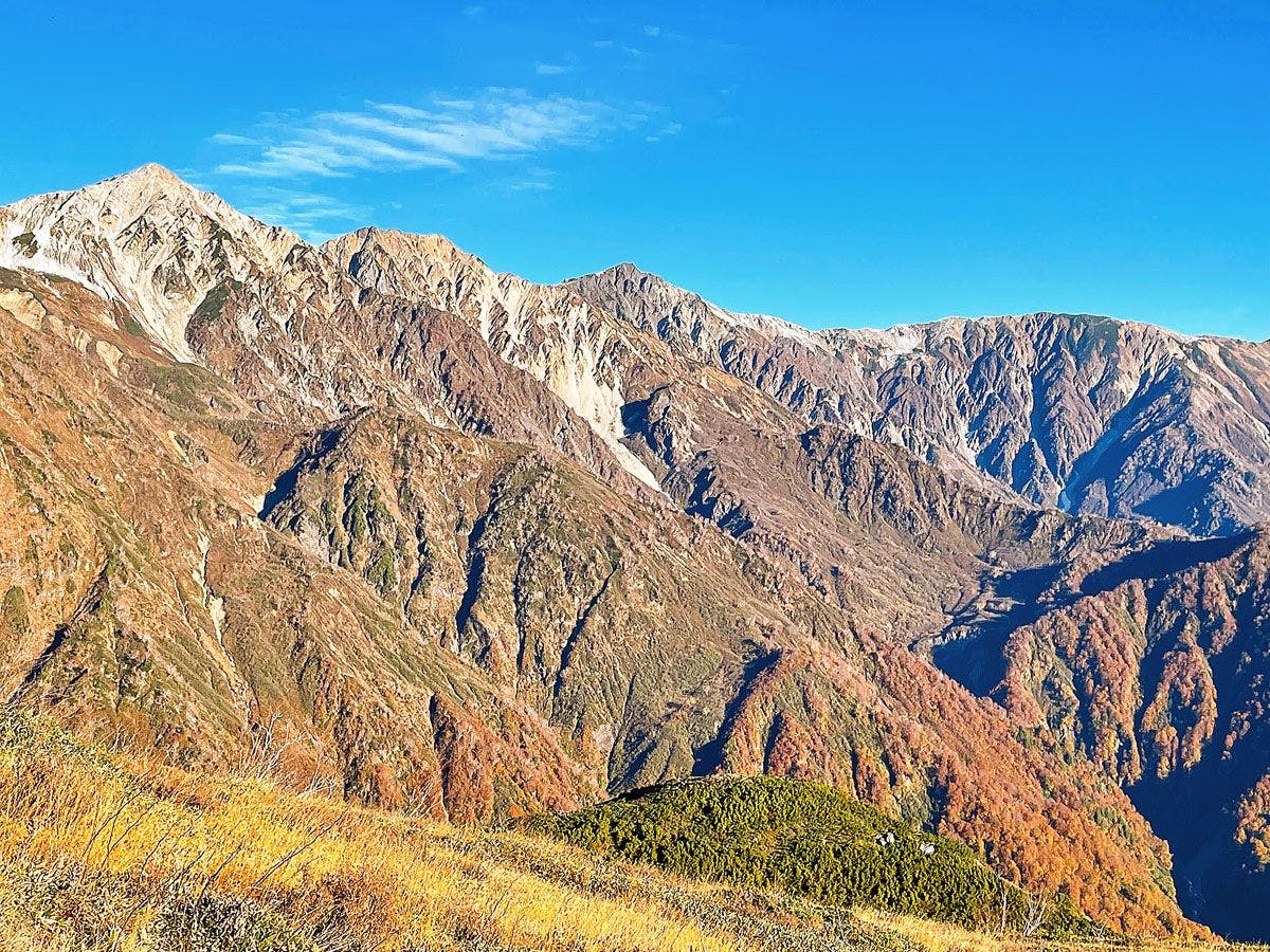 เพลิดเพลินกับใบไม้เปลี่ยนสีแดงและเหลือง!