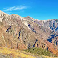 เพลิดเพลินกับใบไม้เปลี่ยนสีแดงและเหลือง!