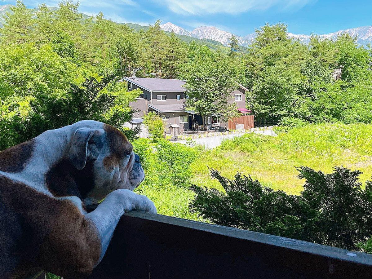 Hakuba Log Hotel Meteor