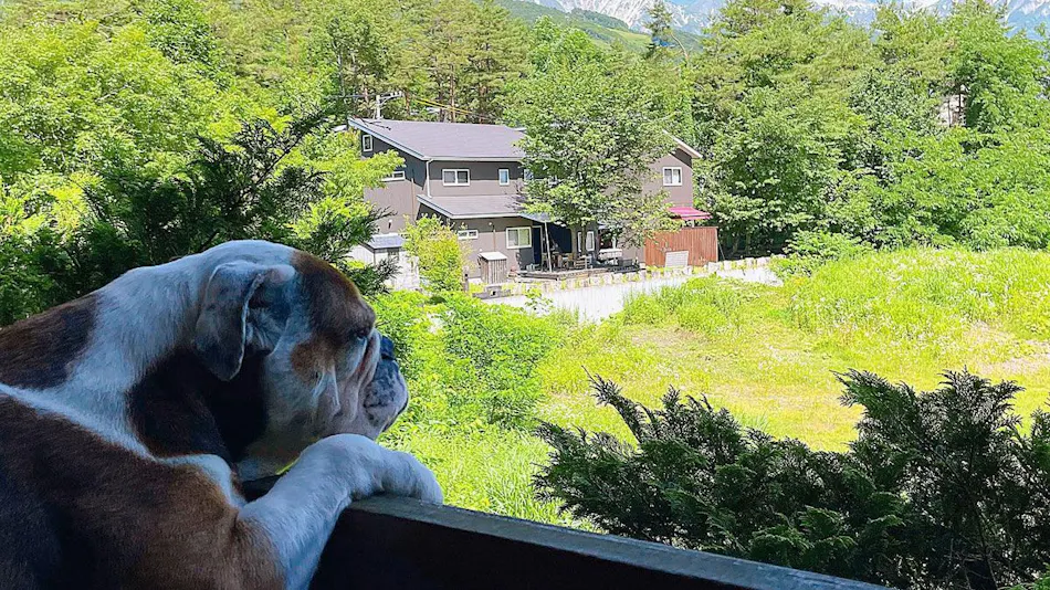 Hakuba Log Hotel Meteor