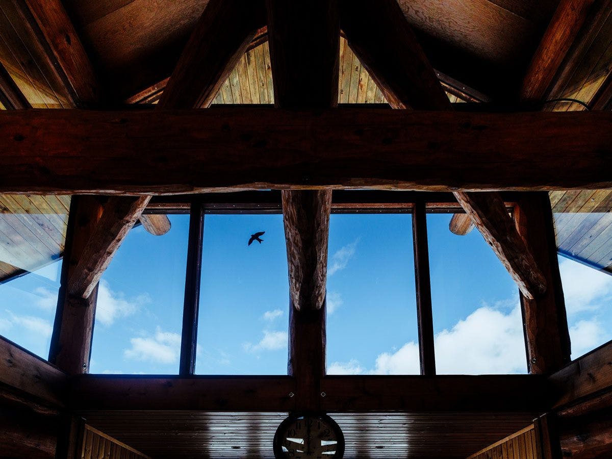 วิวจากโรงแรม Log