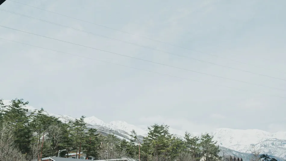 Hakuba Log Hotel Meteor