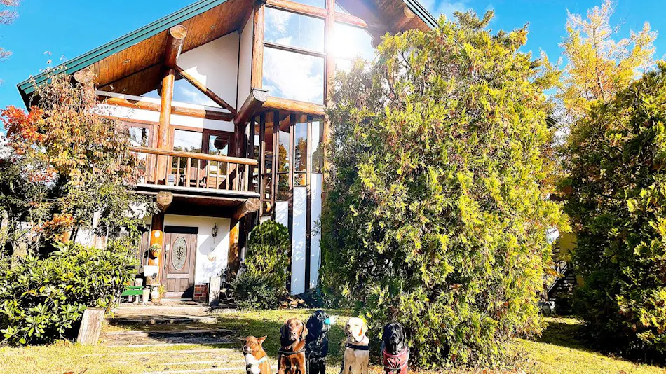 Hakuba Log Hotel Meteor