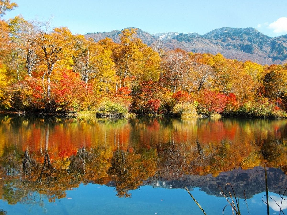 พื้นที่คามาชิ - ฤดูใบไม้ร่วง