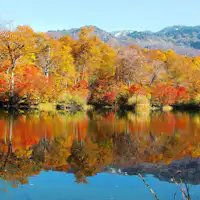 พื้นที่คามาชิ - ฤดูใบไม้ร่วง