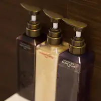 สิ่งอำนวยความสะดวกบนรถบัส POLA