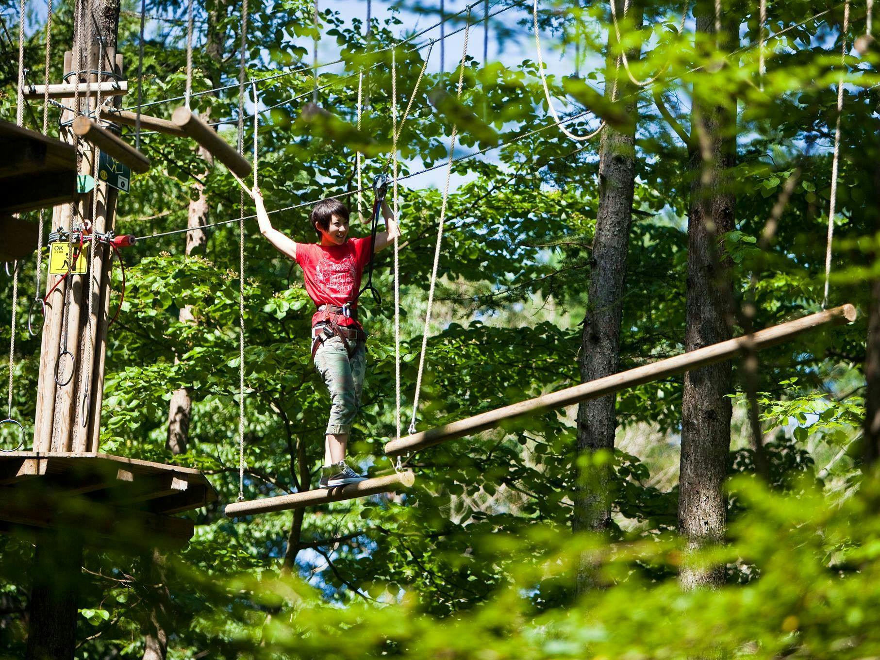 ฟอเรสต์แอดเวนเจอร์ โอคุคามินาเบะ