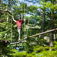 ฟอเรสต์แอดเวนเจอร์ โอคุคามินาเบะ