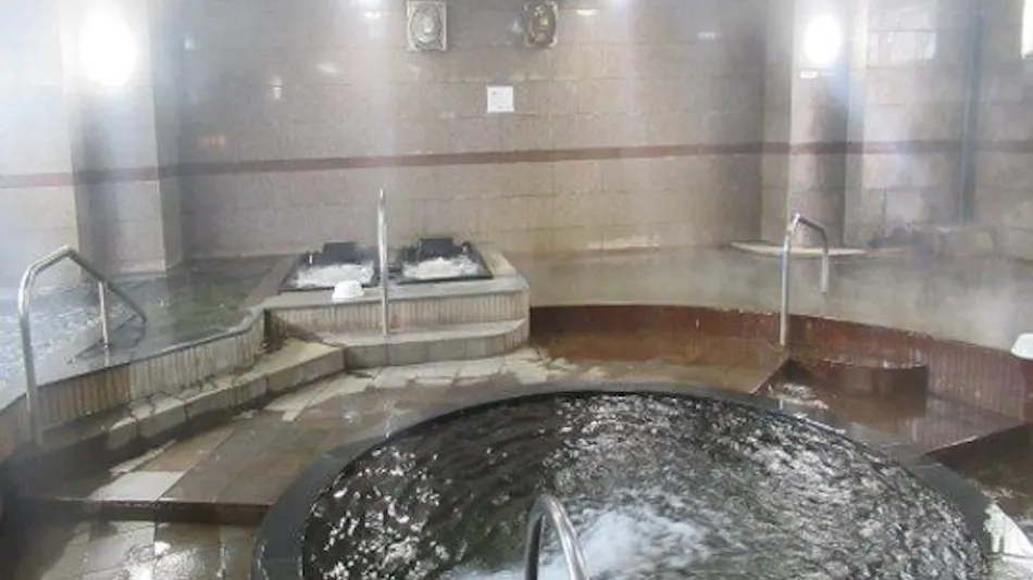 Tsurusaki Hotel with Natural Hot Spring Source Flowing