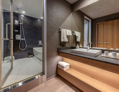 プレミアムツインの浴室画像です。