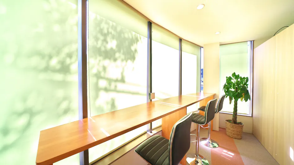 Kanazawa House
