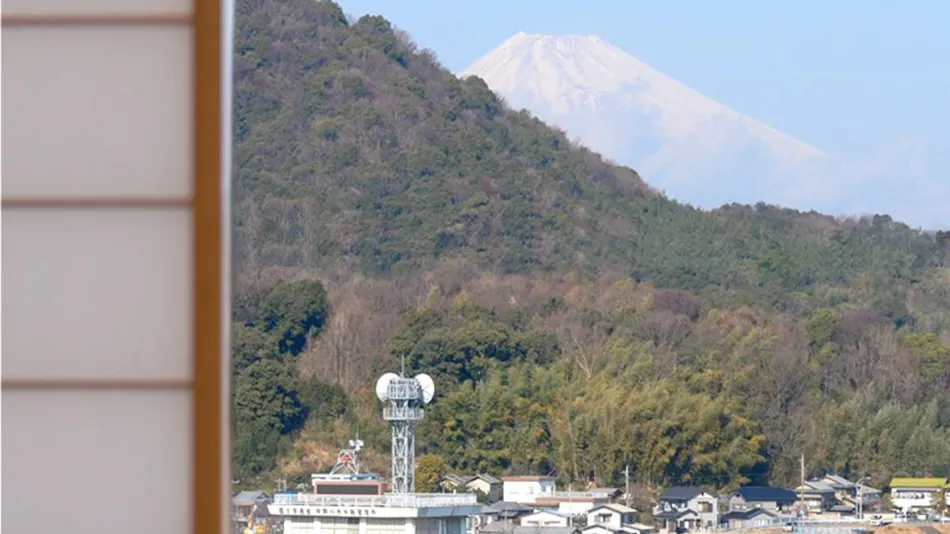 Izu Nagaoka Onsen Ootori-so
