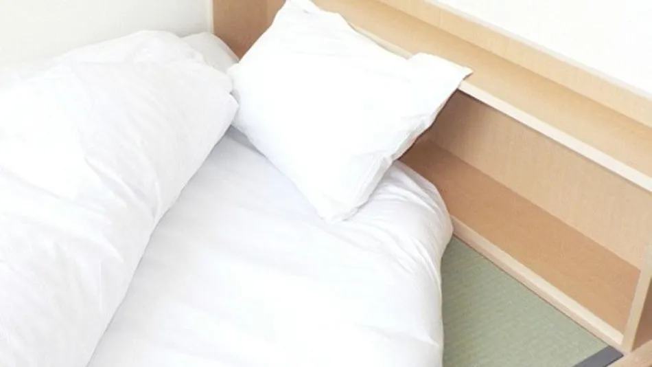 Anan Station Hotel