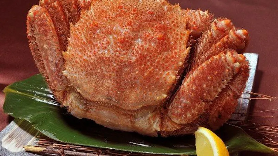 Hokukoku Grand Hotel