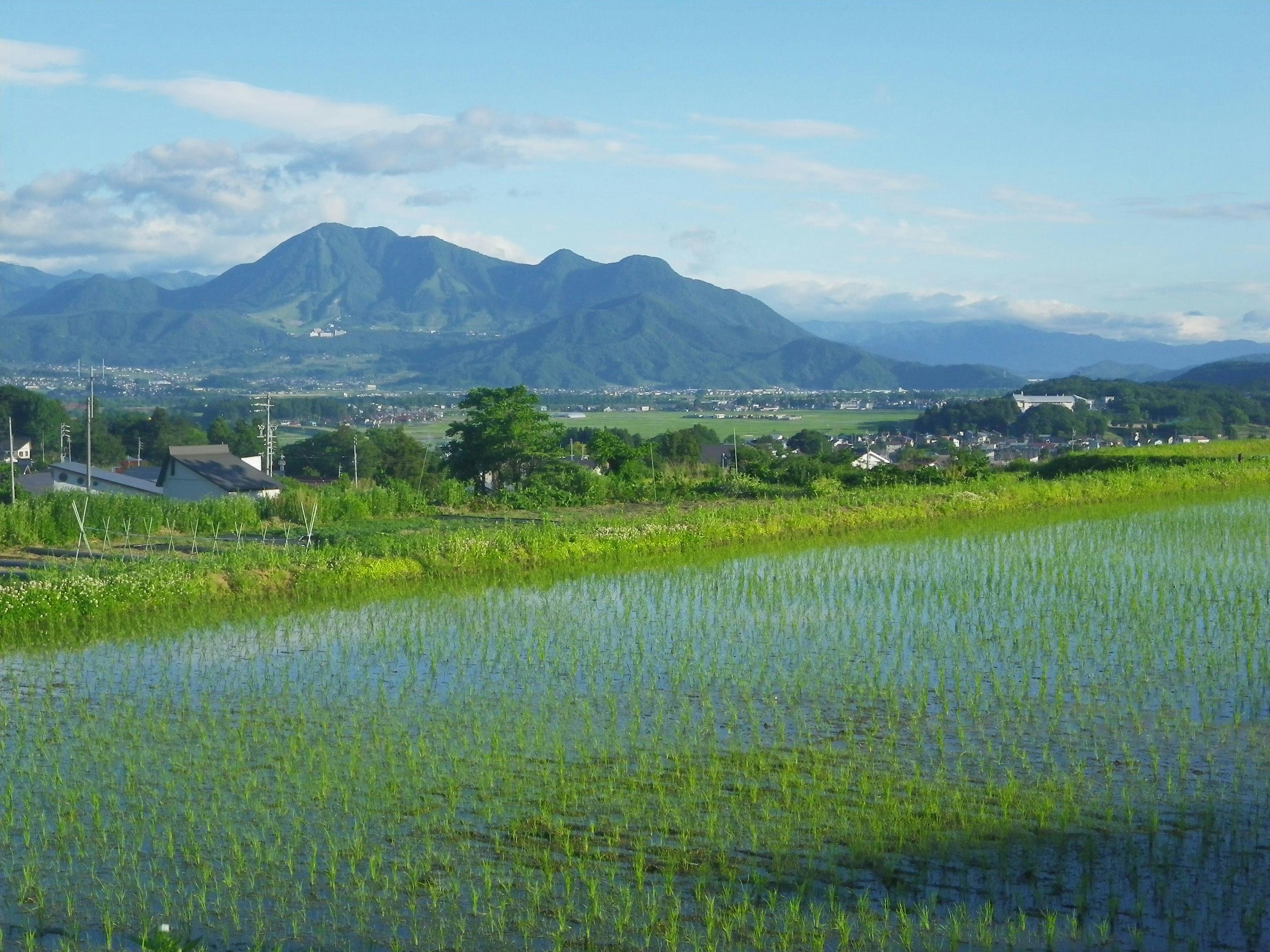 Togari Onsen Resort Inn Murata