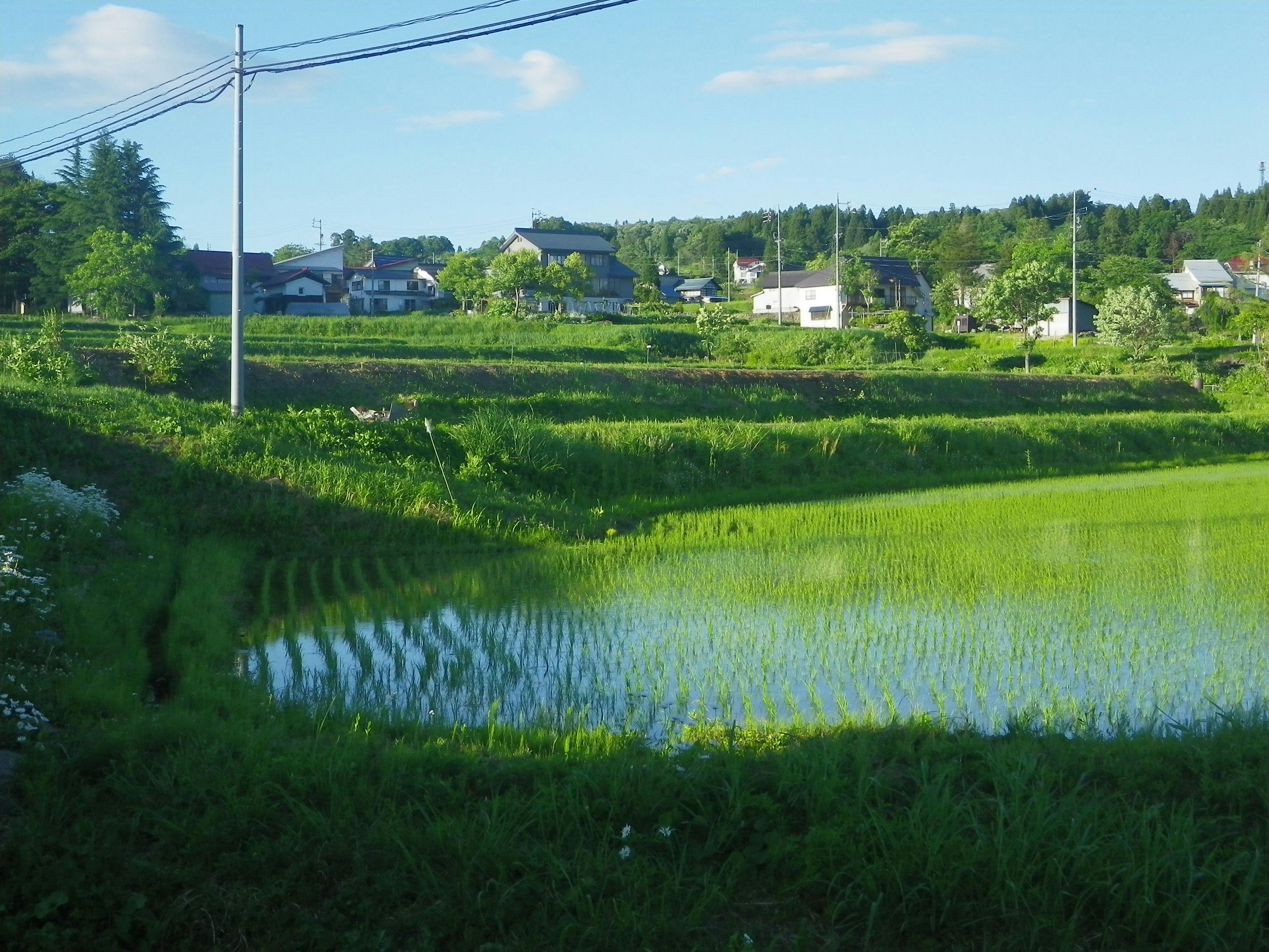 Togari Onsen Resort Inn Murata