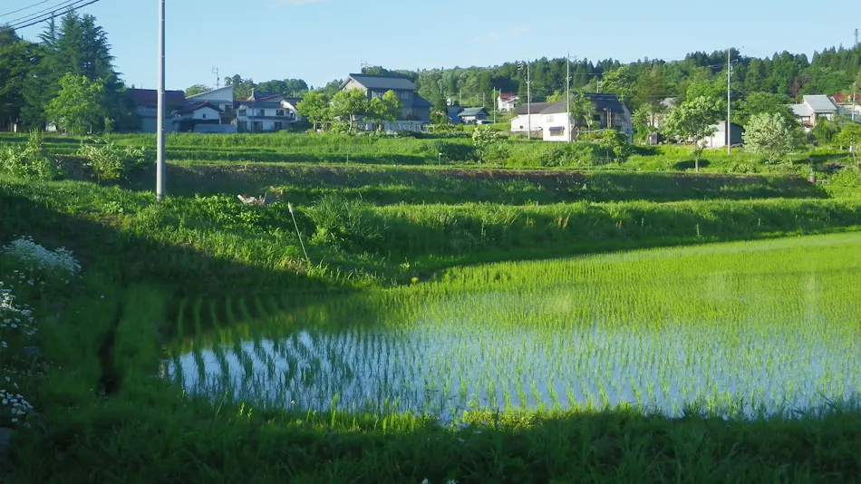 Togari Onsen Resort Inn Murata