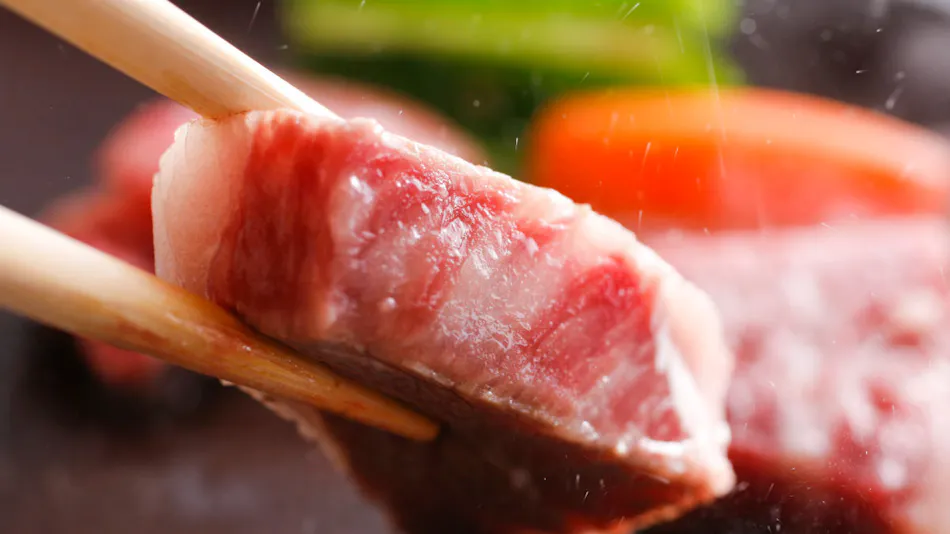 Satsu Onsen Yusho