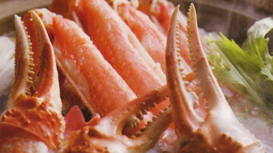 Satsu Onsen Yusho