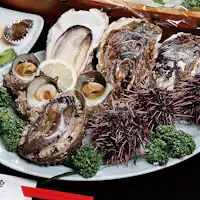 ชุดหอยสด