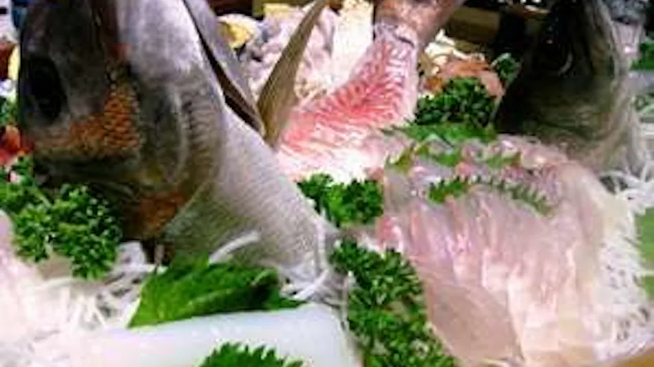 Wakasa Fugu Inn Shimojo