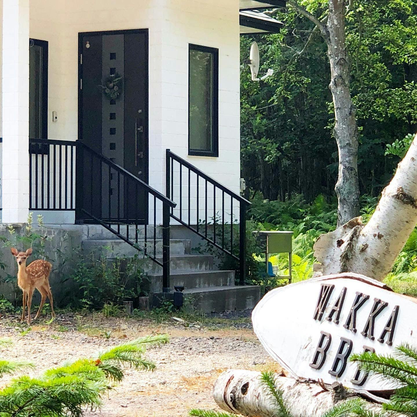 บางครั้งสัตว์ป่าก็มาเยี่ยมเยือน