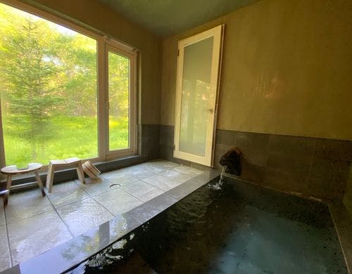 源泉掛け流しの内風呂からは森が見えます。