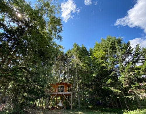 宿泊者専用のツリーハウス。