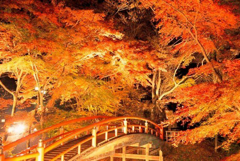 河鹿橋の紅葉