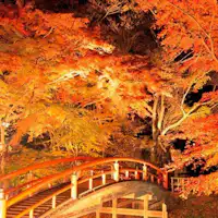河鹿橋の紅葉
