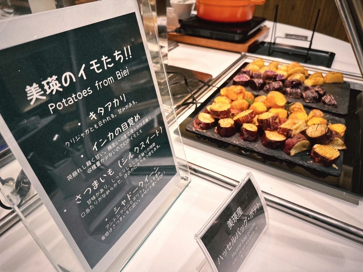 Biei Shirogane Onsen Hotel Park Hills