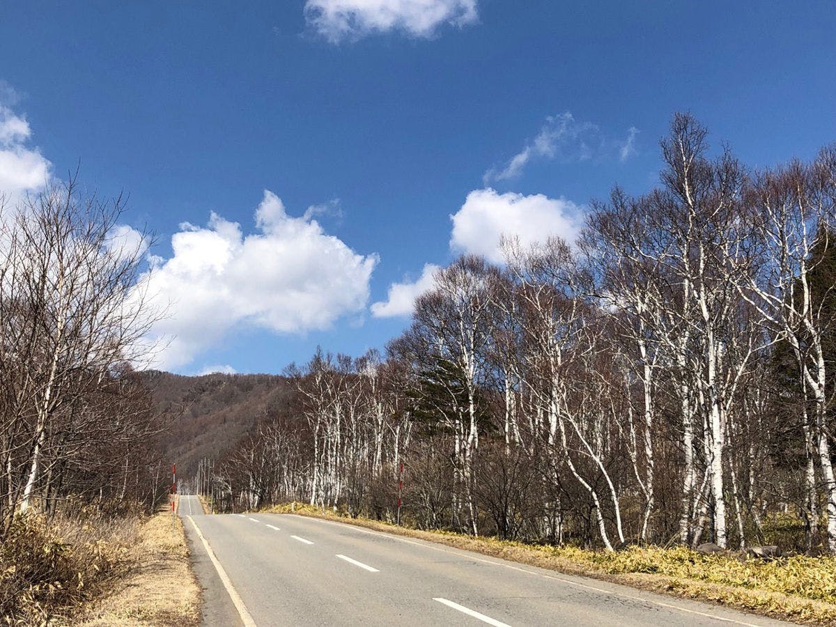 [ป่าเบิร์ช] ขับรถประมาณ 5 นาทีจากที่พัก