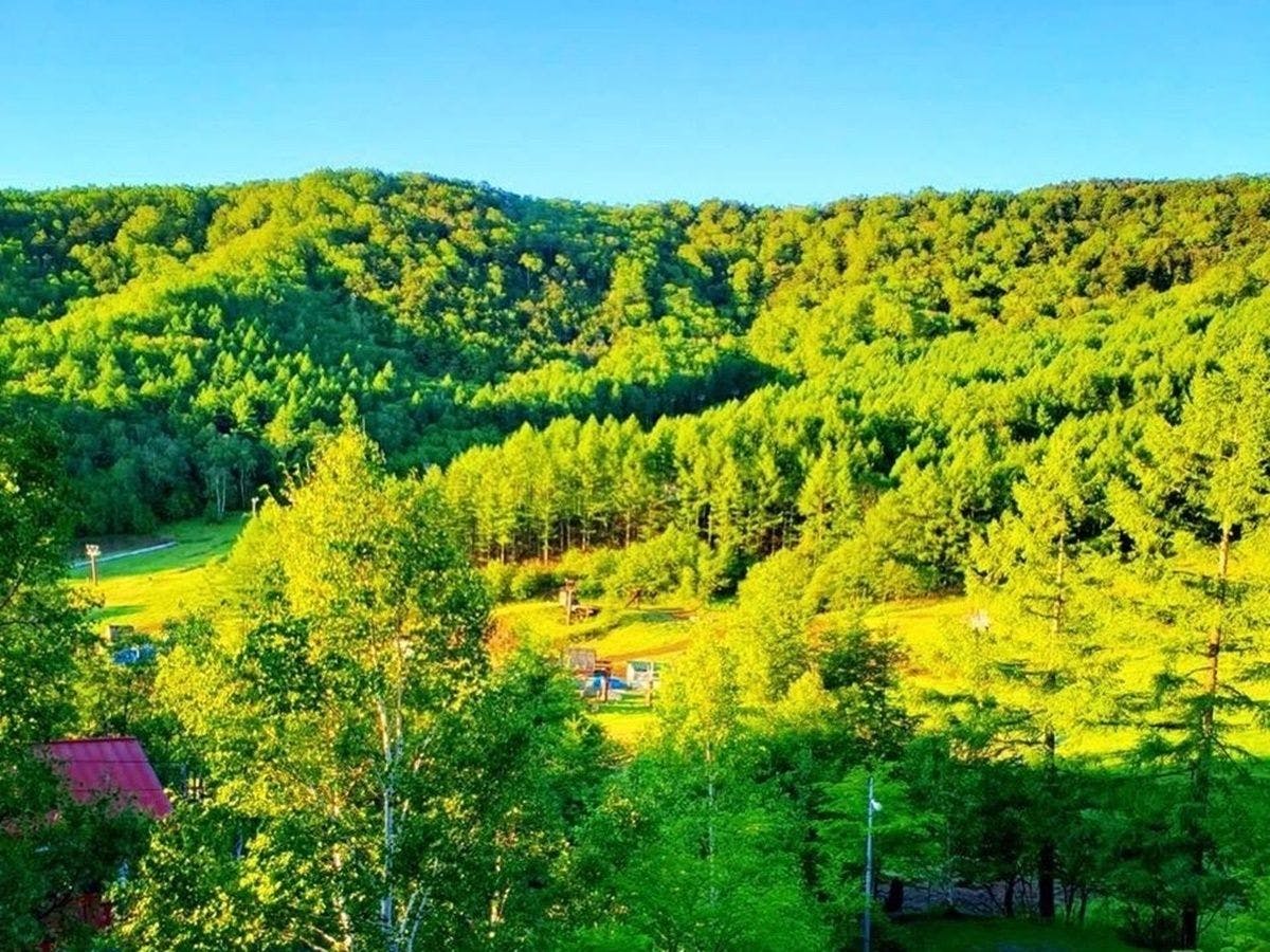 Yachiho Mountain Lodge