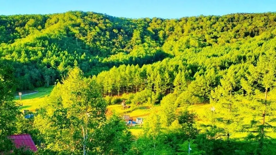 Yachiho Mountain Lodge