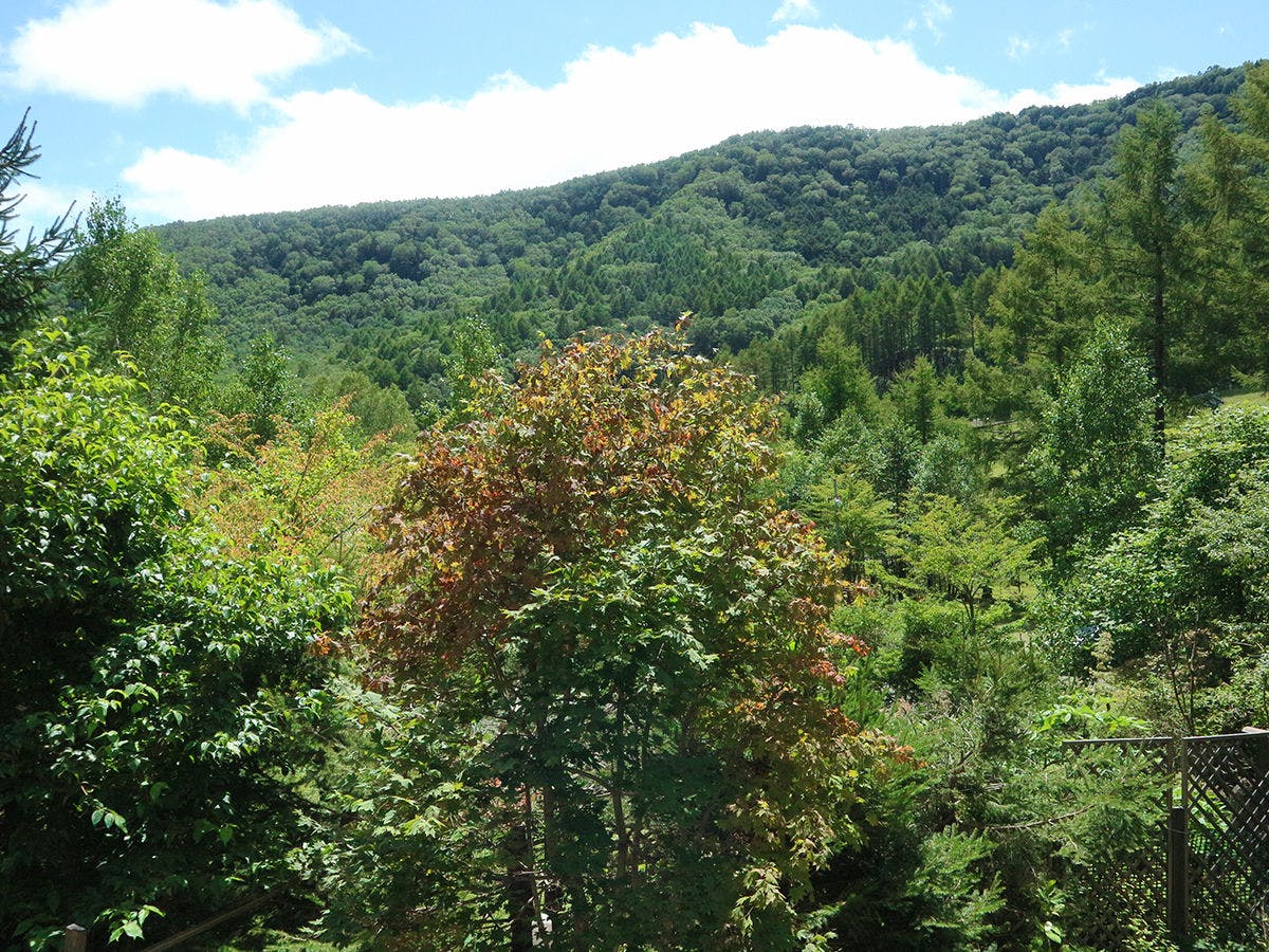 Yachiho Mountain Lodge