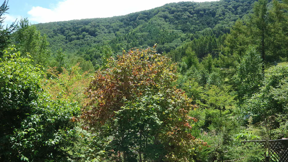 Yachiho Mountain Lodge