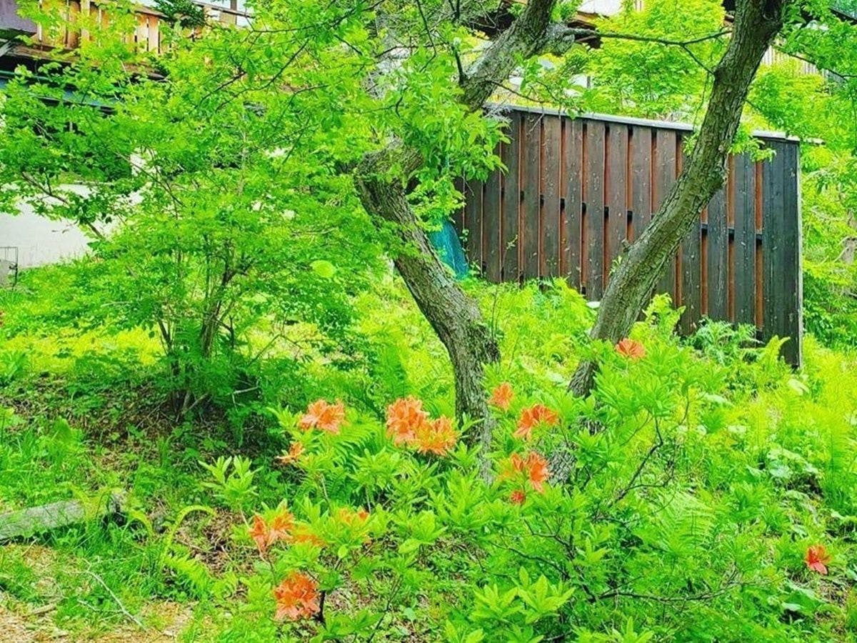 Yachiho Mountain Lodge