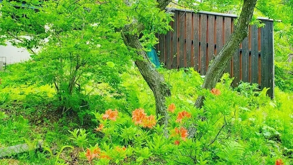 Yachiho Mountain Lodge