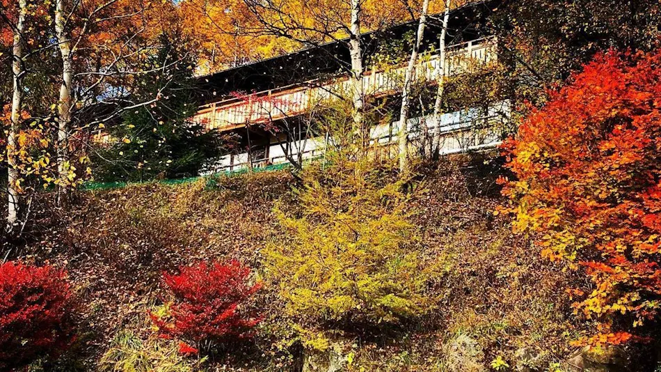 Yachiho Mountain Lodge