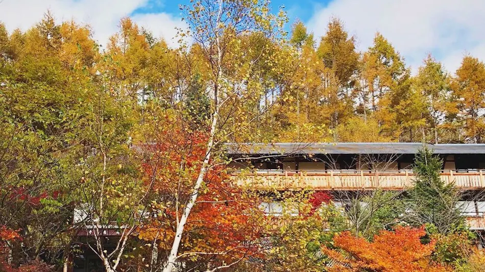 Yachiho Mountain Lodge