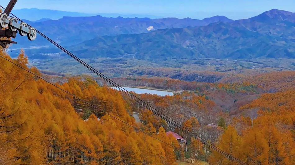 Yachiho Mountain Lodge