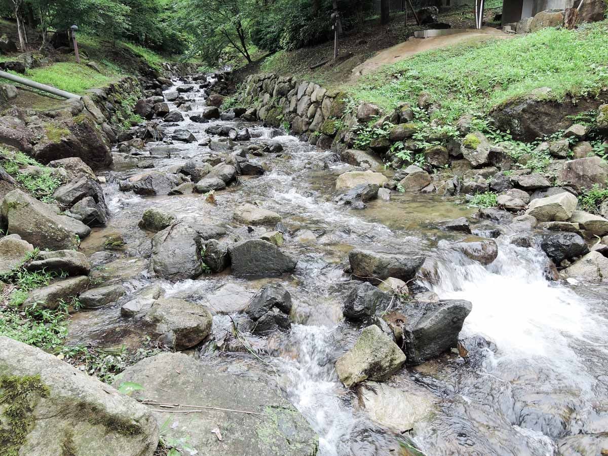 *敷地内を流れる小川
