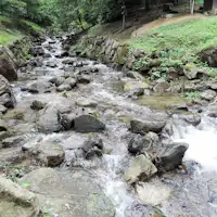 *敷地内を流れる小川