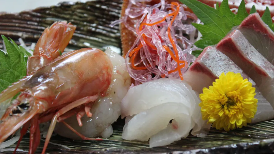 Mimata Onsen Kameya Ryokan