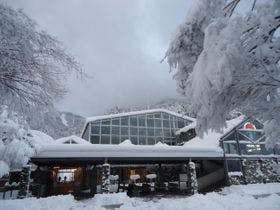 神代から伝わる美肌の湯　美又温泉かめや旅館