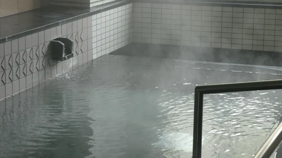 Mimata Onsen Kameya Ryokan