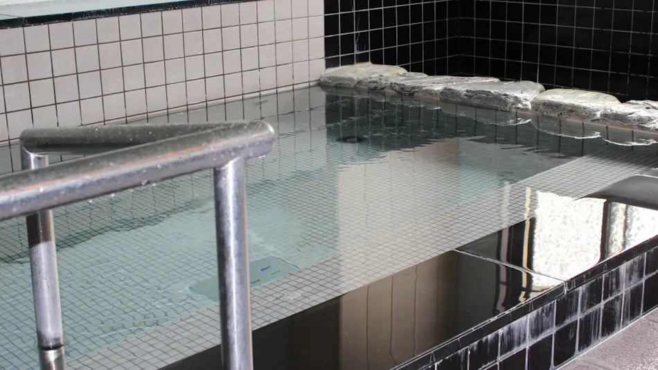 Mimata Onsen Kameya Ryokan