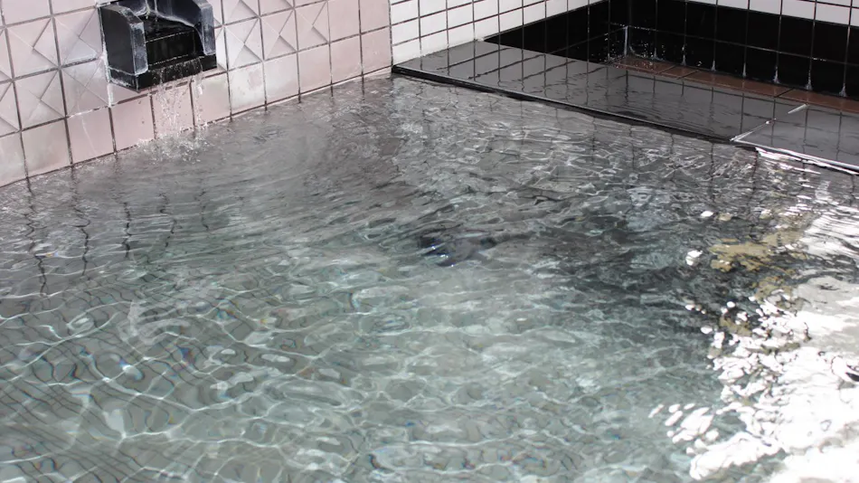 Mimata Onsen Kameya Ryokan
