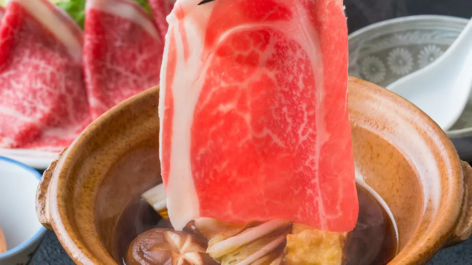 Furuyu Onsen Ougiya Ryokan